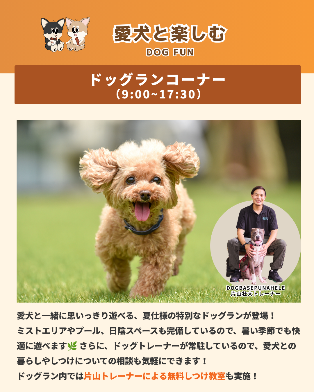 【藤沢市】9月13日は辻堂・神台公園へ！ 愛犬と一緒に楽しみながら防災を考える「湘南DOG BOUSAI FESTA」が開催されます♪ ドッグマルシェや起震車体験、ドッグランなど盛りだくさん！