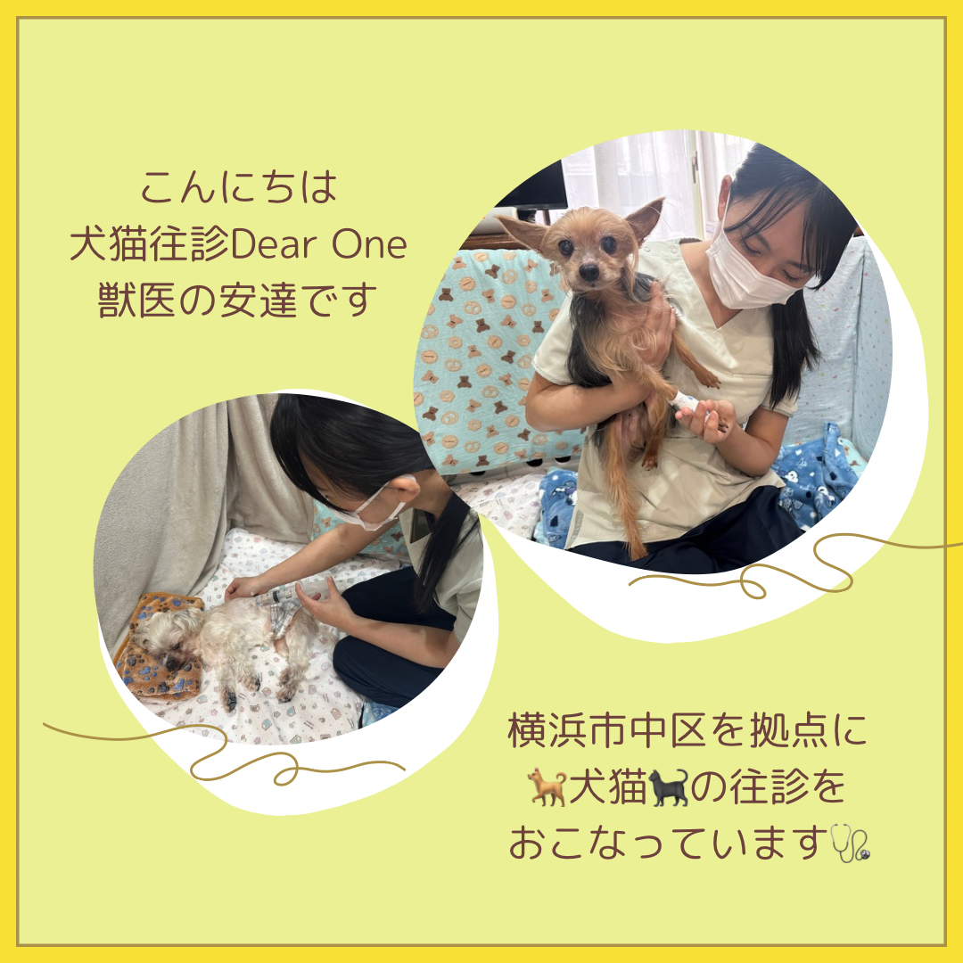 【藤沢市】9月13日は辻堂・神台公園へ！ 愛犬と一緒に楽しみながら防災を考える「湘南DOG BOUSAI FESTA」が開催されます♪ ドッグマルシェや起震車体験、ドッグランなど盛りだくさん！