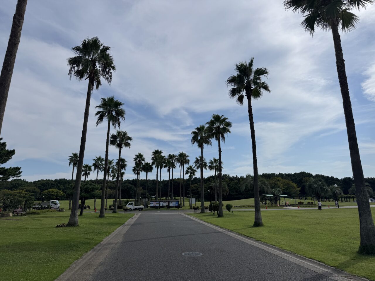 【藤沢市】辻堂海浜公園で「LOVE EARTH FESTIVAL 2026」が10月3日・4日に開催されます♪ エシカルマーケット＆フードが集まる2日間！