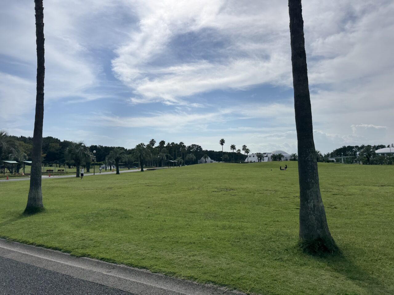 【藤沢市】辻堂海浜公園で「LOVE EARTH FESTIVAL 2026」が10月3日・4日に開催されます♪ エシカルマーケット＆フードが集まる2日間！